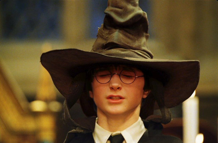 10 giả thuyết điên rồ cực hợp lý của Harry Potter: Sốc nhất là mối quan hệ của Hermione và Harry, gì vậy trời? - Ảnh 1.