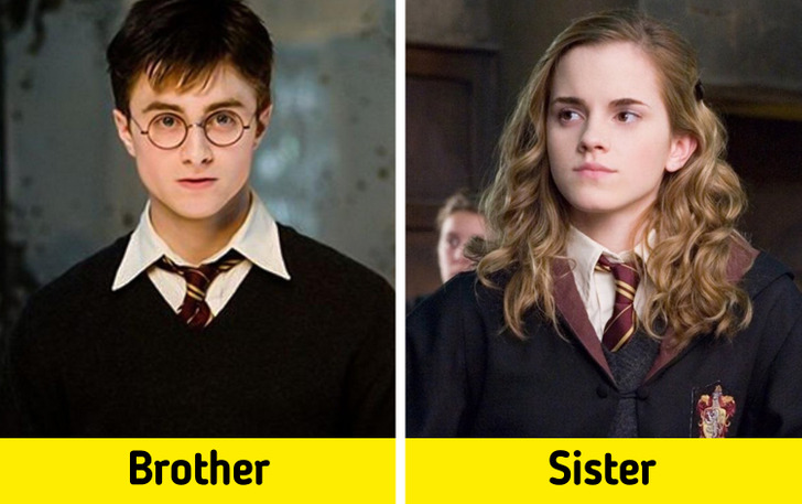 10 giả thuyết điên rồ cực hợp lý của Harry Potter: Sốc nhất là mối quan hệ của Hermione và Harry, gì vậy trời? - Ảnh 10.