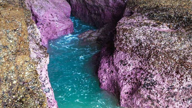 Craving for a photo of a virtual life in a rare pink rock cave on the planet, the woman received a tragic end as a wake-up call for all - Photo 1.