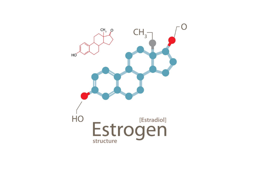 Những hormone sinh dục quan trọng của cơ thể - Ảnh 2.