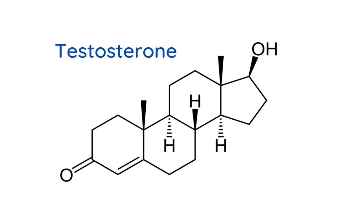 Những hormone sinh dục quan trọng của cơ thể - Ảnh 3.