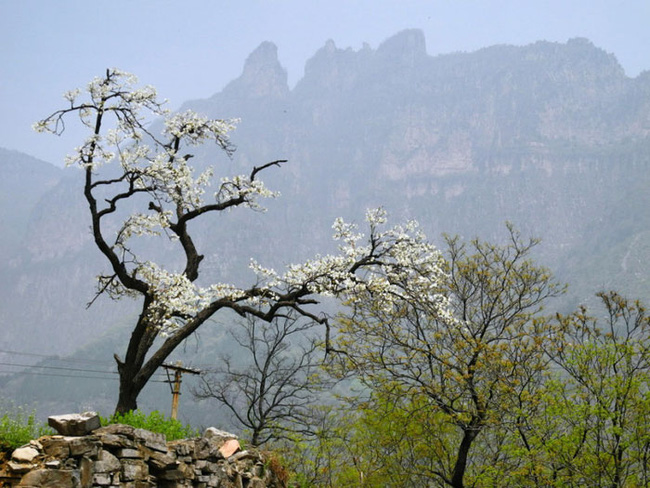 The most dangerous village in China: Located on a steep mountain 1,700m high, there is a road that hangs craggy cliffs to challenge all experienced drivers - Photo 4.