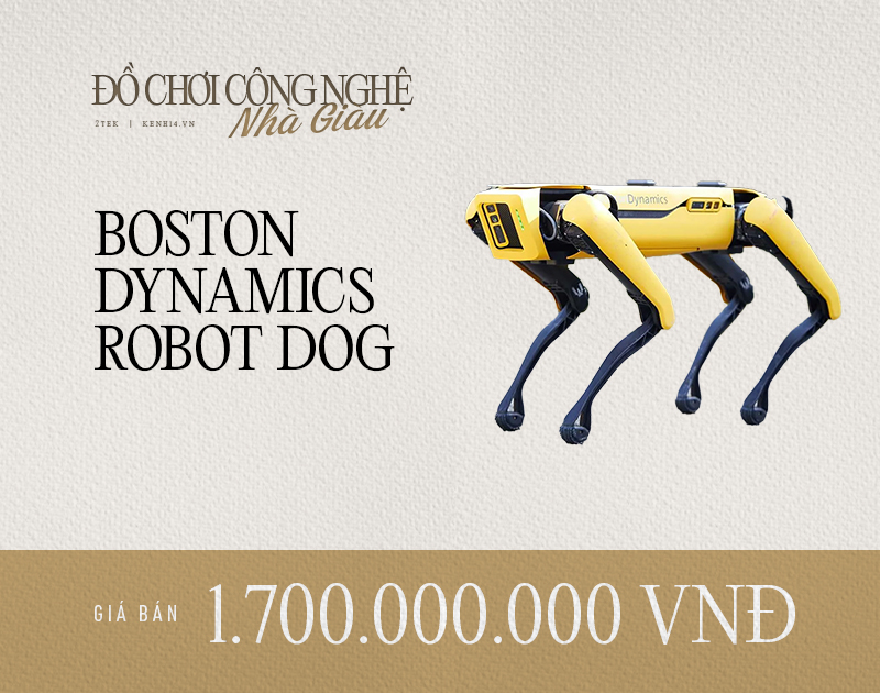 Ch&uacute; ch&oacute; robot l&agrave;m dậy s&oacute;ng MXH Việt Nam c&oacute; g&igrave; hay, th&ocirc;ng minh đến cỡ n&agrave;o m&agrave; c&oacute; gi&aacute; l&ecirc;n đến 1,7 tỷ đồng? - Ảnh 1.