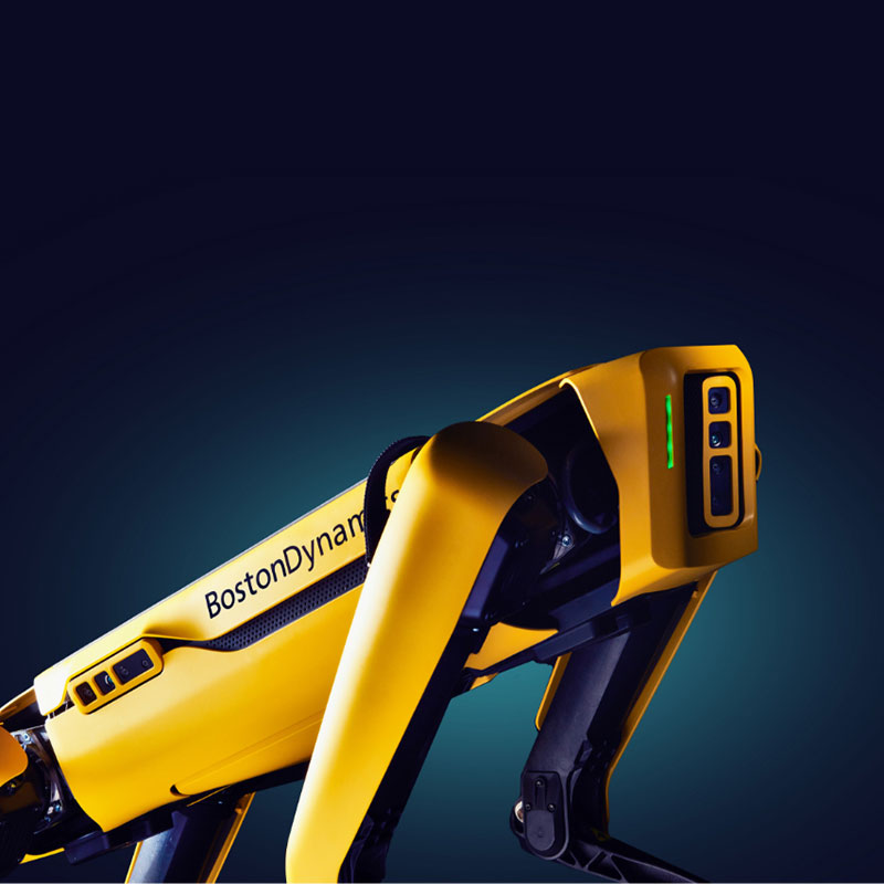 Ch&uacute; ch&oacute; robot l&agrave;m dậy s&oacute;ng MXH Việt Nam c&oacute; g&igrave; hay, th&ocirc;ng minh đến cỡ n&agrave;o m&agrave; c&oacute; gi&aacute; l&ecirc;n đến 1,7 tỷ đồng? - Ảnh 2.