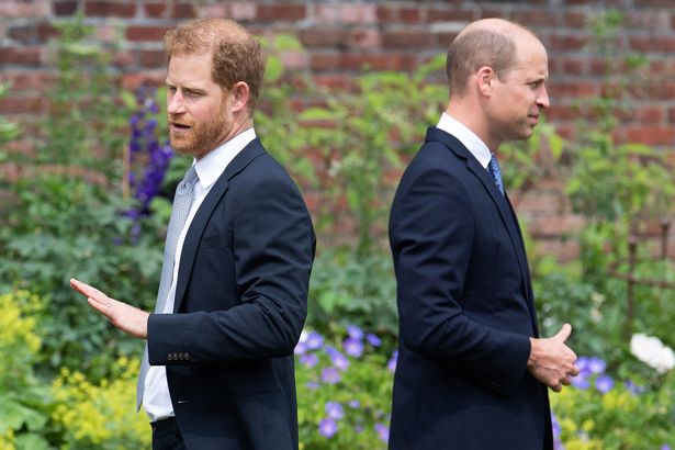 Hoàng tử William tổn thương sâu sắc bởi một câu nói của Harry và khẩn cầu em trai: Hãy để mẹ được yên nghỉ! - Ảnh 2.