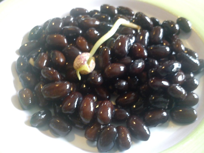 This is a way to eat black beans every day not only to nourish the blood, but also to cool down better, you will have a good color, and your health will benefit from enough sugar - Photo 2.