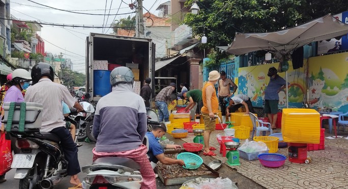   Sea crabs increase in price like never before, seafood attracts goods - Photo 1.