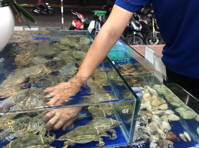   Sea crabs increase in price like never before, seafood attracts goods - Photo 2.