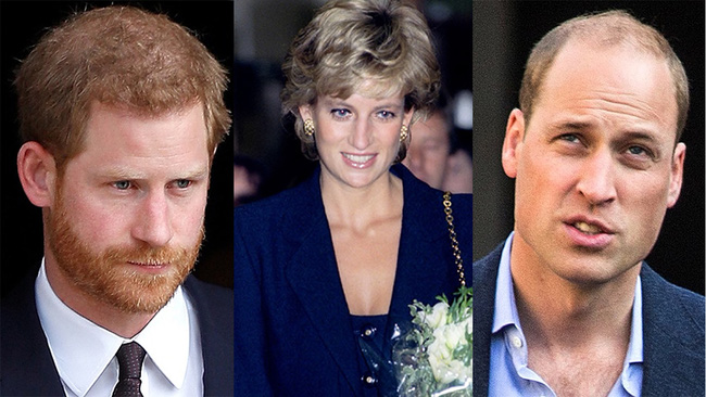 Chuyện giờ mới kể: Công nương Diana bị cáo buộc là kẻ thứ 3, Hoàng tử William đưa ra câu nói đầy táo tợn - Ảnh 1.