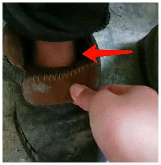 Thấy học trò cứ giậm chân trong lớp, giáo viên lại xem thì phát hiện 1 điều khiến cô đỏ hoe mắt: Sự việc sau đó gây bão mạng - Ảnh 3.