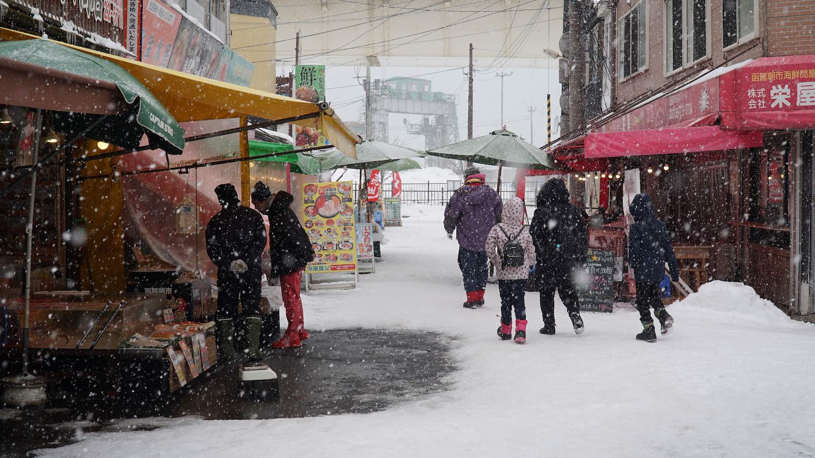 What is the overwhelming scene of the winter land of Hokkaido, watching the sea while playing in the snow?  - Photo 5.