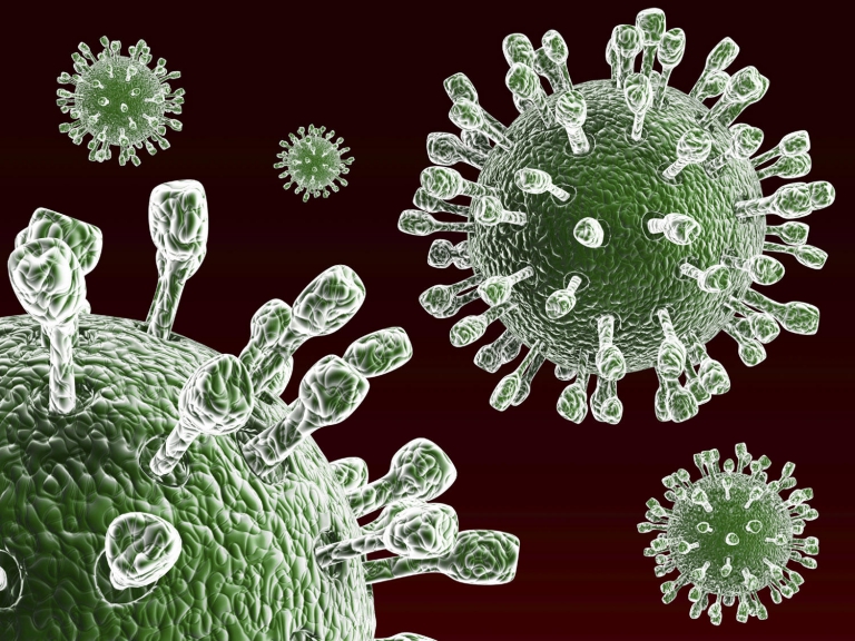 Decoding the Rota virus caused a series of deaths of children from acute diarrhea, which is the most vulnerable and dangerous object - Photo 1.