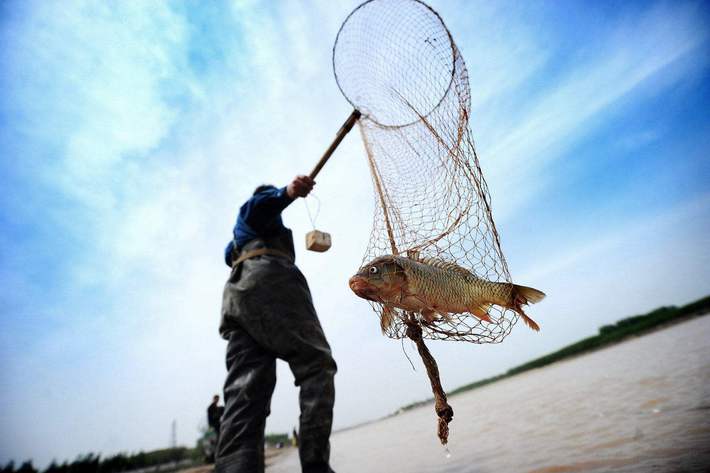 China's most turbid river gradually becomes greener but does not have many fish?  Hearing the new cause is really surprising - Photo 5.