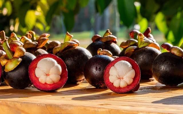 The great cavalry when eating mangosteen, you must know so that you do not receive poison - Photo 2.