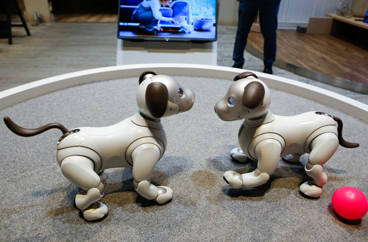Khám phá chú chó robot Sony Aibo, món đồ chơi có giá 70 triệu mà mọi ...