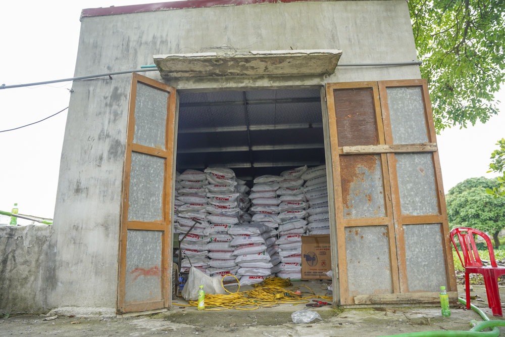 Lightning killed 229 pigs in Thai Binh: The owner cried and fainted, did not dare to go to the farm - Photo 6.