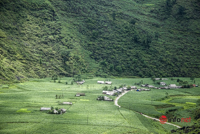 Du lịch Hà Giang chuyển mình, du khách đắm chìm trước cảnh đẹp mê hồn của vùng cao nguyên đá  - Ảnh 9.