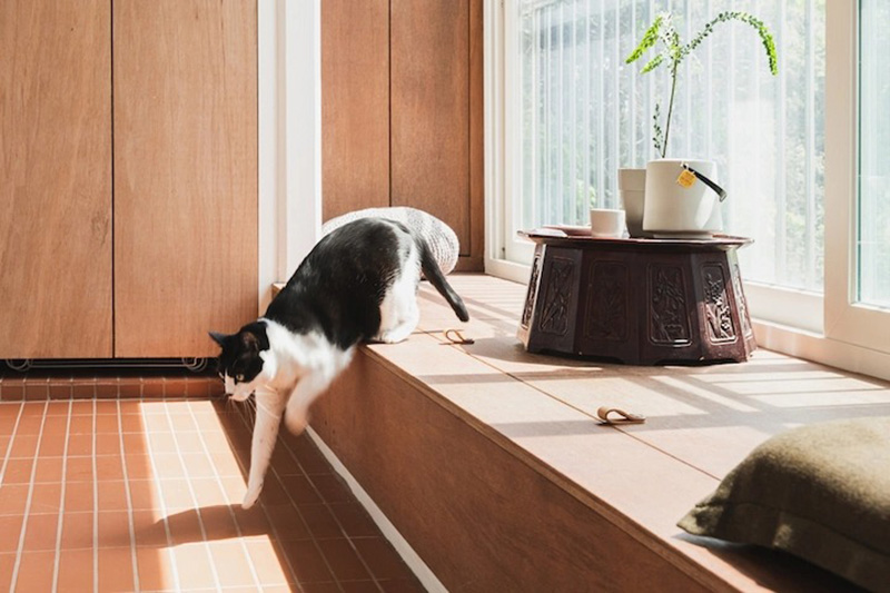 Căn hộ cũ 89m² được cải tạo nhìn đâu cũng thấy dễ chịu, lại còn có không gian vui chơi riêng cho 7 chú mèo - Ảnh 11. Căn hộ cũ 89m² được cải tạo nhìn đâu cũng thấy dễ chịu, lại còn có không gian vui chơi riêng cho 7 chú mèo - Ảnh 11.