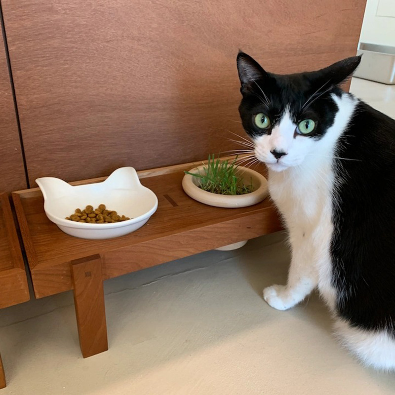 Căn hộ cũ 89m² được cải tạo nhìn đâu cũng thấy dễ chịu, lại còn có không gian vui chơi riêng cho 7 chú mèo - Ảnh 16. Căn hộ cũ 89m² được cải tạo nhìn đâu cũng thấy dễ chịu, lại còn có không gian vui chơi riêng cho 7 chú mèo - Ảnh 16.