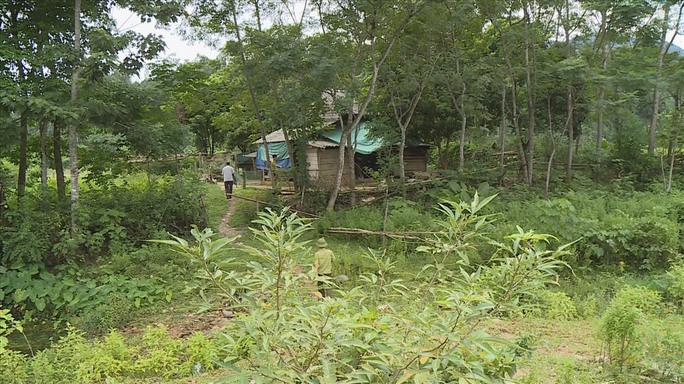 Hunting for the man who slashed and killed people in Vu Quang National Park - Photo 1.