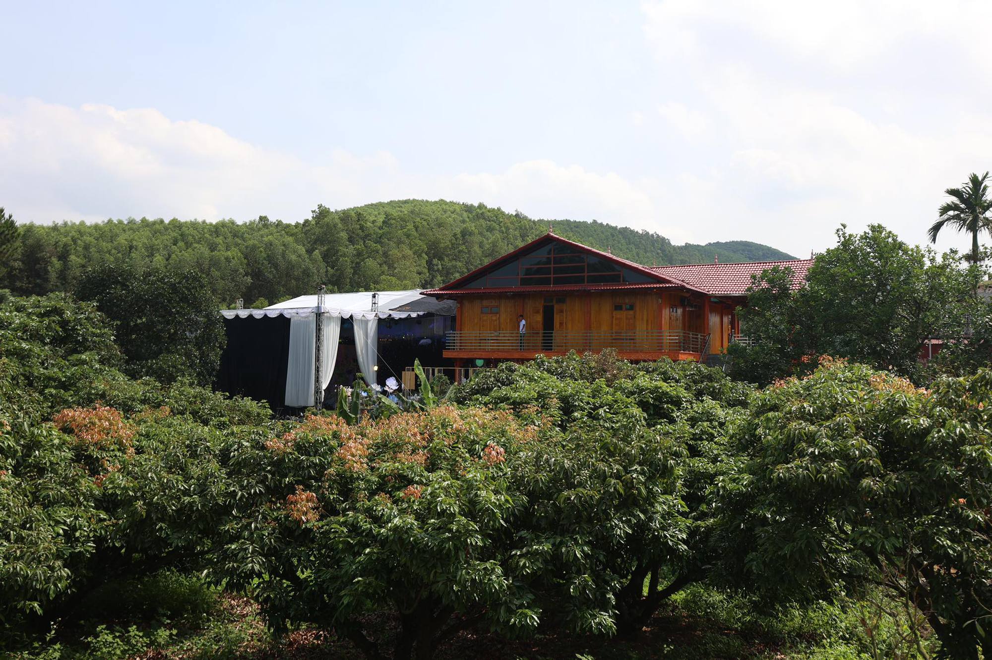 L&acirc;m Vỹ Dạ v&agrave; d&agrave;n sao dự đ&aacute;m cưới Mạc Văn Khoa ở Hải Dương  - Ảnh 11.