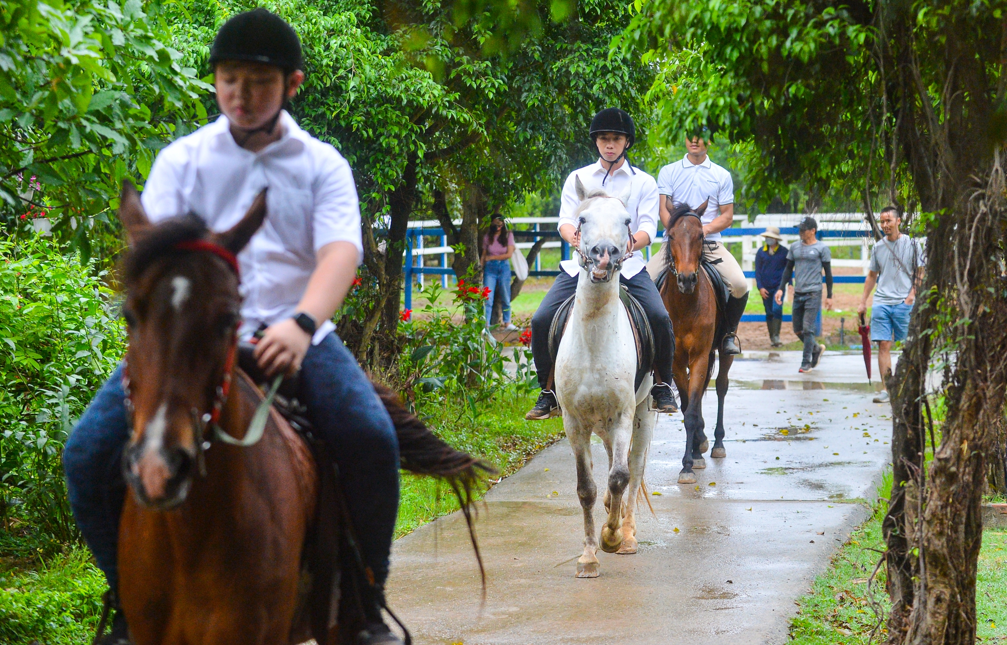 Ảnh: Người Hà Nội chi tiền triệu học cưỡi ngựa - Ảnh 8.