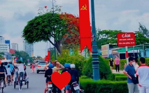 The phoenix flower tree is the hottest in Vung Tau, causing netizens to nod their heads: It is true that there are 1-0-2 - Photo 2.