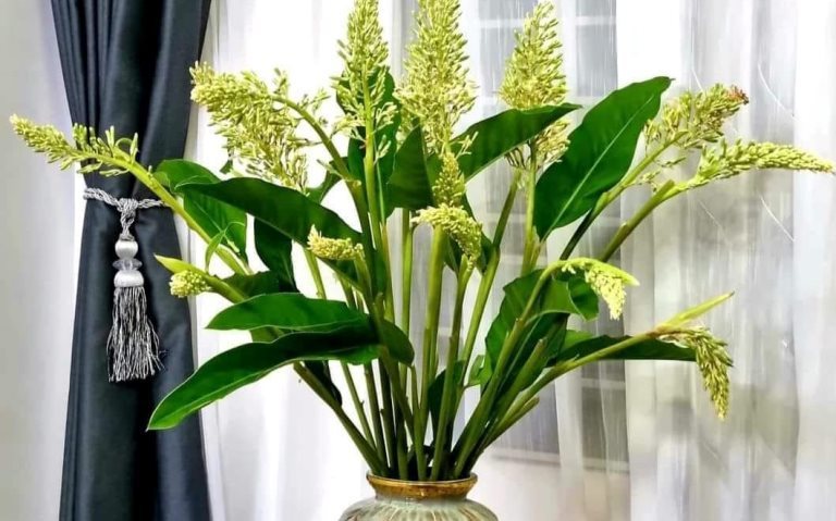 HOA RIỀNG, tin tức Mới nhất Chỉ tốn cỡ trăm ngàn, người chơi có ngay lọ ...