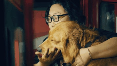 Cô gái sống lang bạt chấp nhận chuyển nhà 21 lần vì nuôi 2 chú chó, và những câu chuyện chan nước mắt lẫn tiếng cười - Ảnh 12.