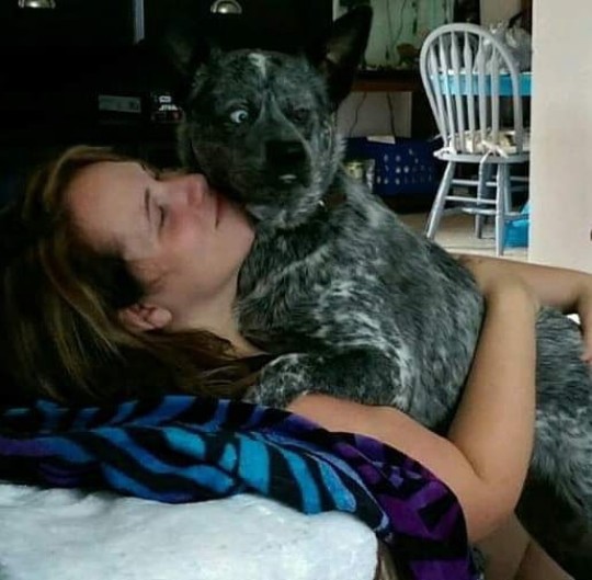 The touching story behind the bewildered photos of the dog dubbed 