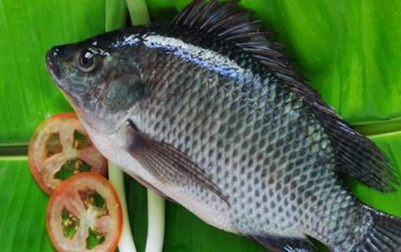3 types of fish eaten regularly are beneficial for people with diabetes, cheap price but very rich in nutrients, not sick should also eat - Photo 4.
