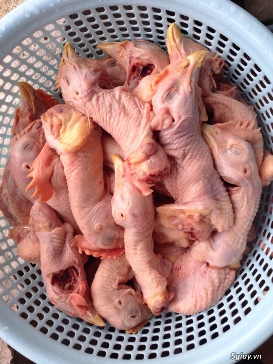 4 parts of a chicken should not be eaten much, all of them are full of toxins, but many people still like to eat - Photo 2.