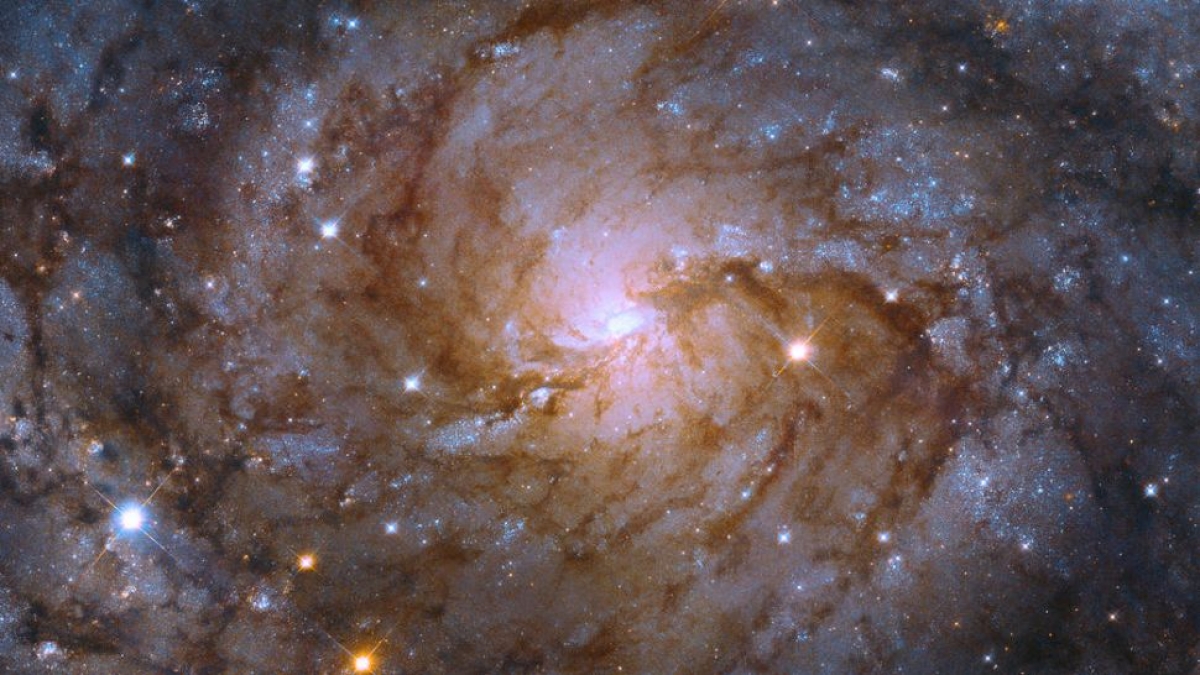 See a beautiful hidden galaxy image near the Milky Way - Photo 1.