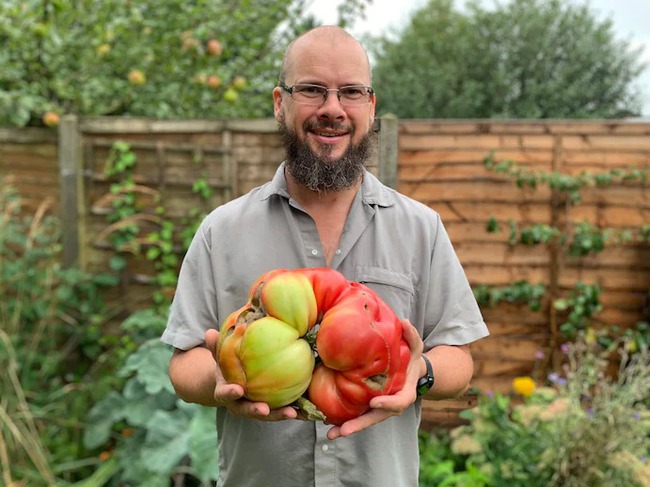 Tomato tree set the world's most fertile record, carrying 1,269 fruits while hanging on a small body - Photo 3.