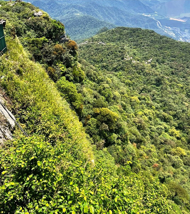 Close-up of the place where the female tourist U60 fell for 7 days in Yen Tu: Hundreds of meters deep, steep cliffs - Photo 2.