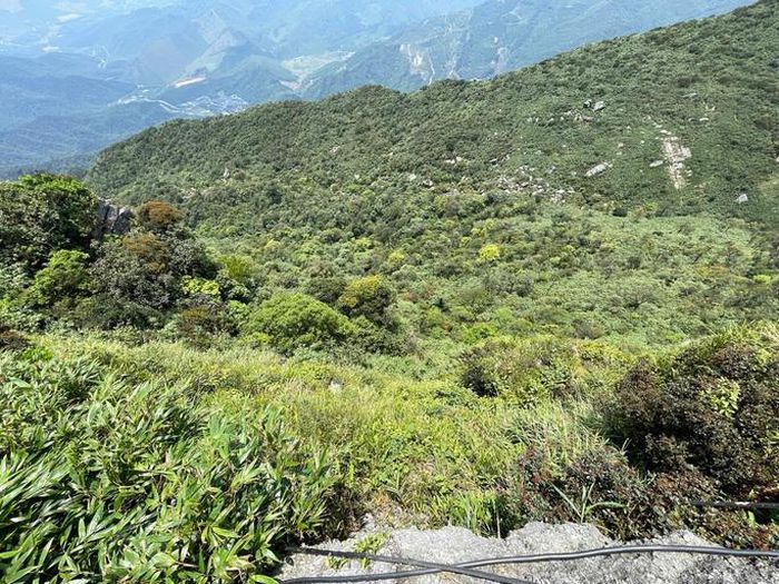 Close-up of where the female tourist U60 fell for 7 days in Yen Tu: The abyss is hundreds of meters deep, the cliff is steep - Photo 3.