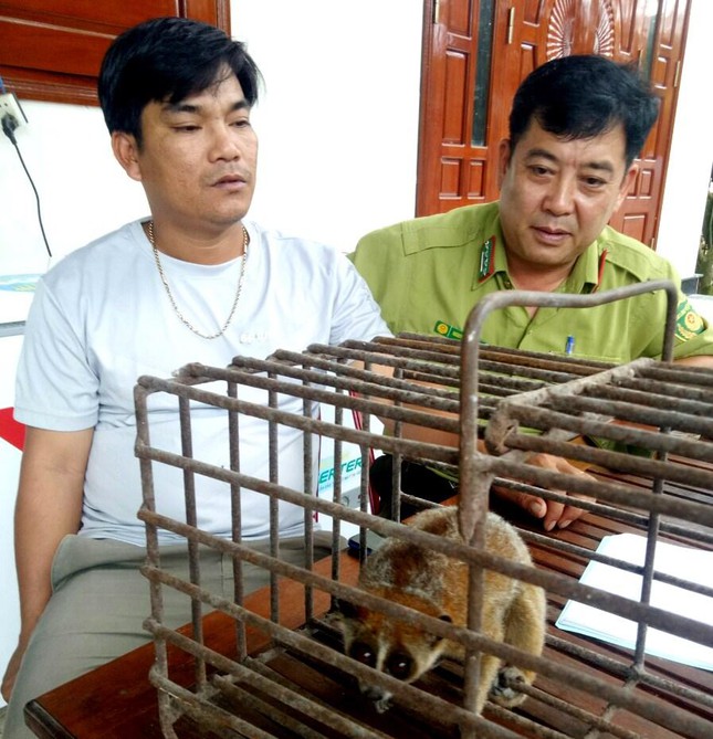 Bất ngờ về con vật c&oacute; h&igrave;nh th&ugrave; lạ đi lạc v&agrave;o vườn d&acirc;n tại Huế - Ảnh 1.