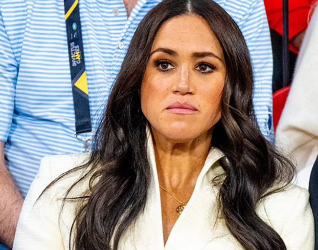 Netflix canceled the project, Meghan was embarrassed when she had to secretly do unprecedented actions and Harry had the opposite reaction - Photo 1.