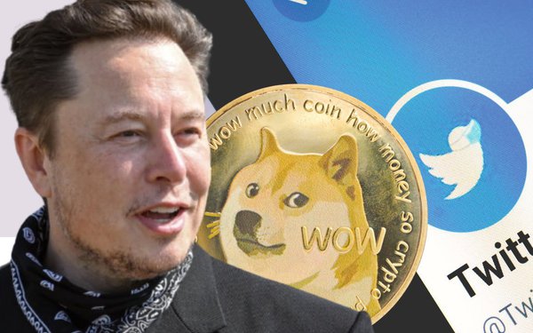 Chuyện gì đây: Elon Musk bị nhà đồng sáng lập Dogecoin gọi là kẻ lừa đảo, bán giấc mơ làm giàu cho người nghèo - Ảnh 1.