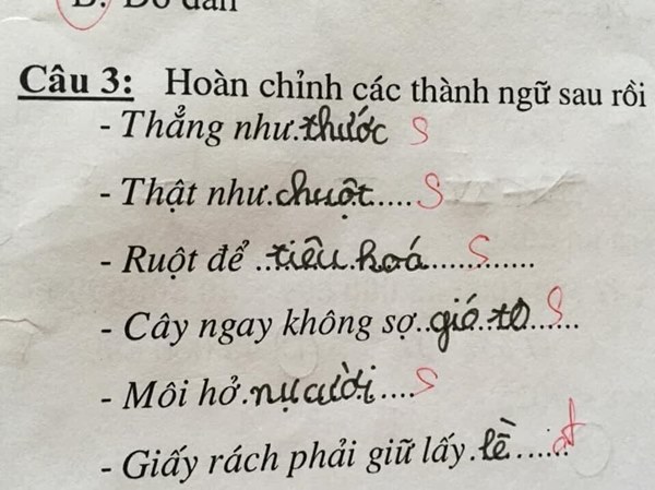 Học sinh cấp 1 làm bài tập tiếng Việt, mới câu đầu tiên mà phụ huynh đã cười ngất tới 3 ngày - Ảnh 2.