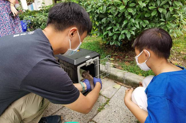 Gia đình nhặt được cún con về nuôi, 2 tháng sau phát hiện là loài động vật được bảo vệ cấp quốc gia - Ảnh 2.