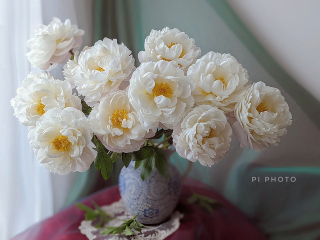 Thú chơi cắm hoa peony trong nhà được nhiều chị em theo đuổi, mặc kệ giá lên đến vài trăm nghìn đồng/bông, nghe lí do ai cũng bất ngờ - Ảnh 2.