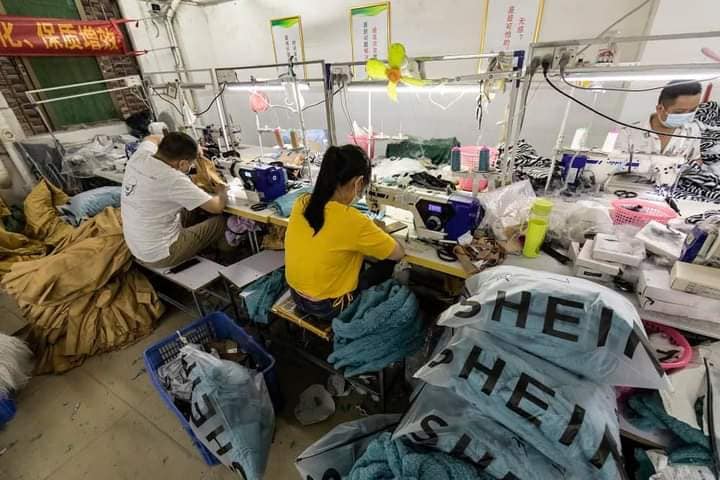 Amaranth Việt Nam - Xuất hiện tin nhắn kêu cứu bí ẩn trên tem mác quần áo  của thương hiệu Shein: Dân tình bàn tán, nhãn hàng phản hồi ra sao?