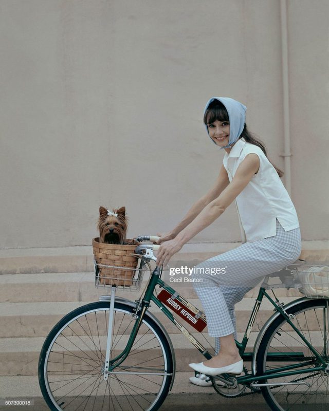 Nàng thơ khiến Givenchy cả đời thương nhớ: Đẹp khác lạ, thay đổi cả tiêu chuẩn thời đại, chẳng phô phang nhưng vẫn hút hồn người - Ảnh 6.