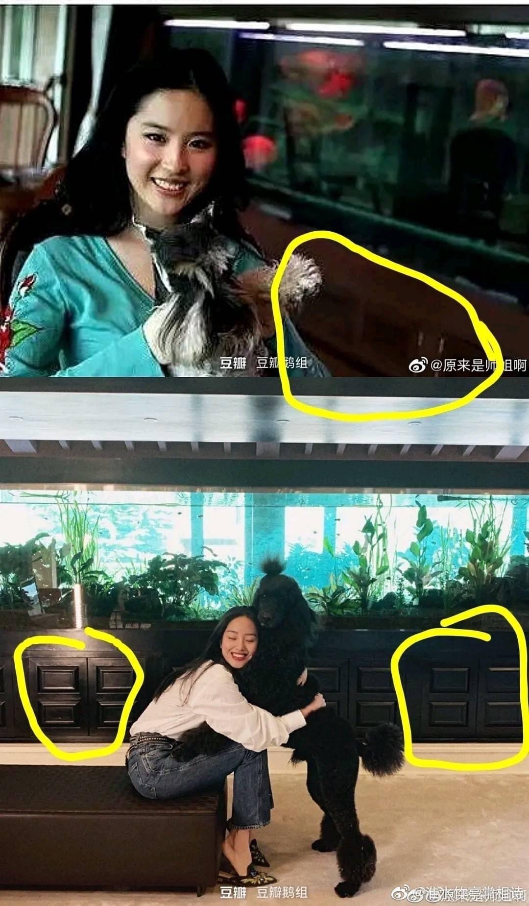 “Thần tiên tỷ tỷ” Lưu Diệc Phi dính ồn ào bằng cấp - Ảnh 5. “Thần tiên tỷ tỷ” Lưu Diệc Phi dính ồn ào bằng cấp - Ảnh 5.