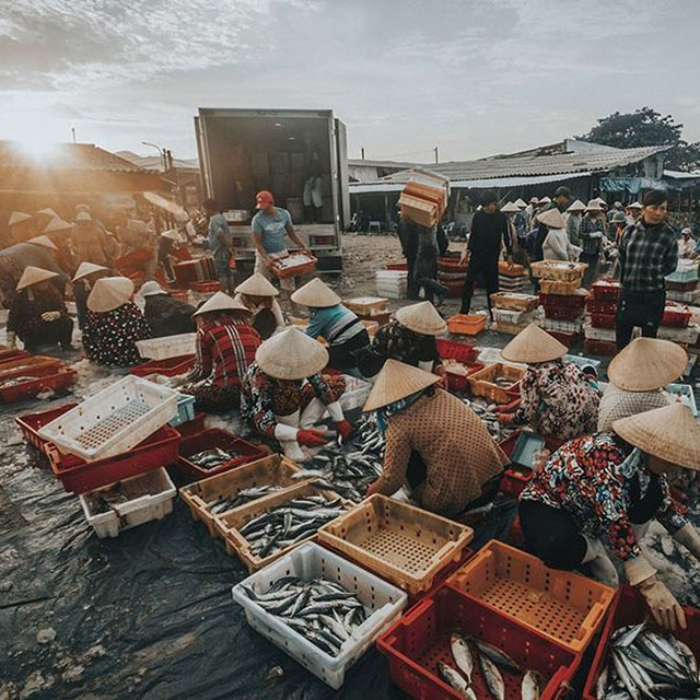 Chợ đêm hải sản Vũng Tàu đóng cửa vậy thì thử ngay các địa điểm bán hải sản tươi rói, giá cả vô cùng hợp lý đến người địa phương cũng khuyên thử - Ảnh 4.