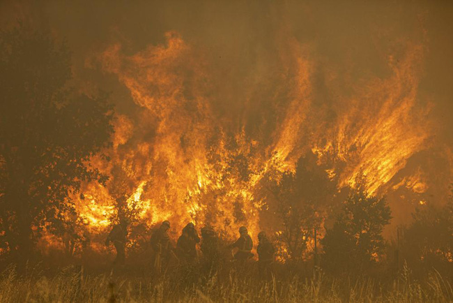 Tây Ban Nha chứng kiến cháy rừng tồi tệ nhất trong lịch sử - Ảnh 1.