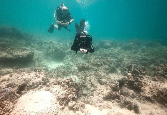 Khánh Hòa tạm dừng du lịch lặn biển để cứu san hô ở Hòn Mun - Ảnh 3.