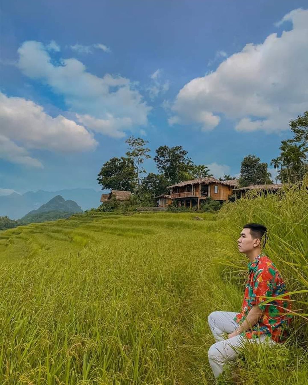 P&ugrave; Lu&ocirc;ng đang v&agrave;o m&ugrave;a l&uacute;a ch&iacute;n đẹp nhất trong năm: Nhất định phải đi v&igrave; g&oacute;c n&agrave;o đứng v&agrave;o cũng rất thơ - Ảnh 3.