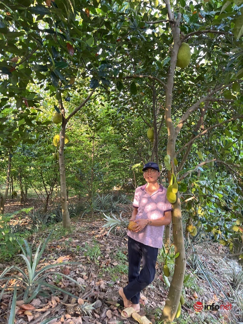 Siêu đầu bếp bỏ việc về quê trồng loại sen nghìn cánh, hái ra tiền từ cây sen - Ảnh 10. Siêu đầu bếp bỏ việc về quê trồng loại sen nghìn cánh, hái ra tiền từ cây sen - Ảnh 10.